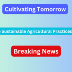 Cultivating Tomorrow: A Guide to Sustainable Agricultural Practices in the USA
