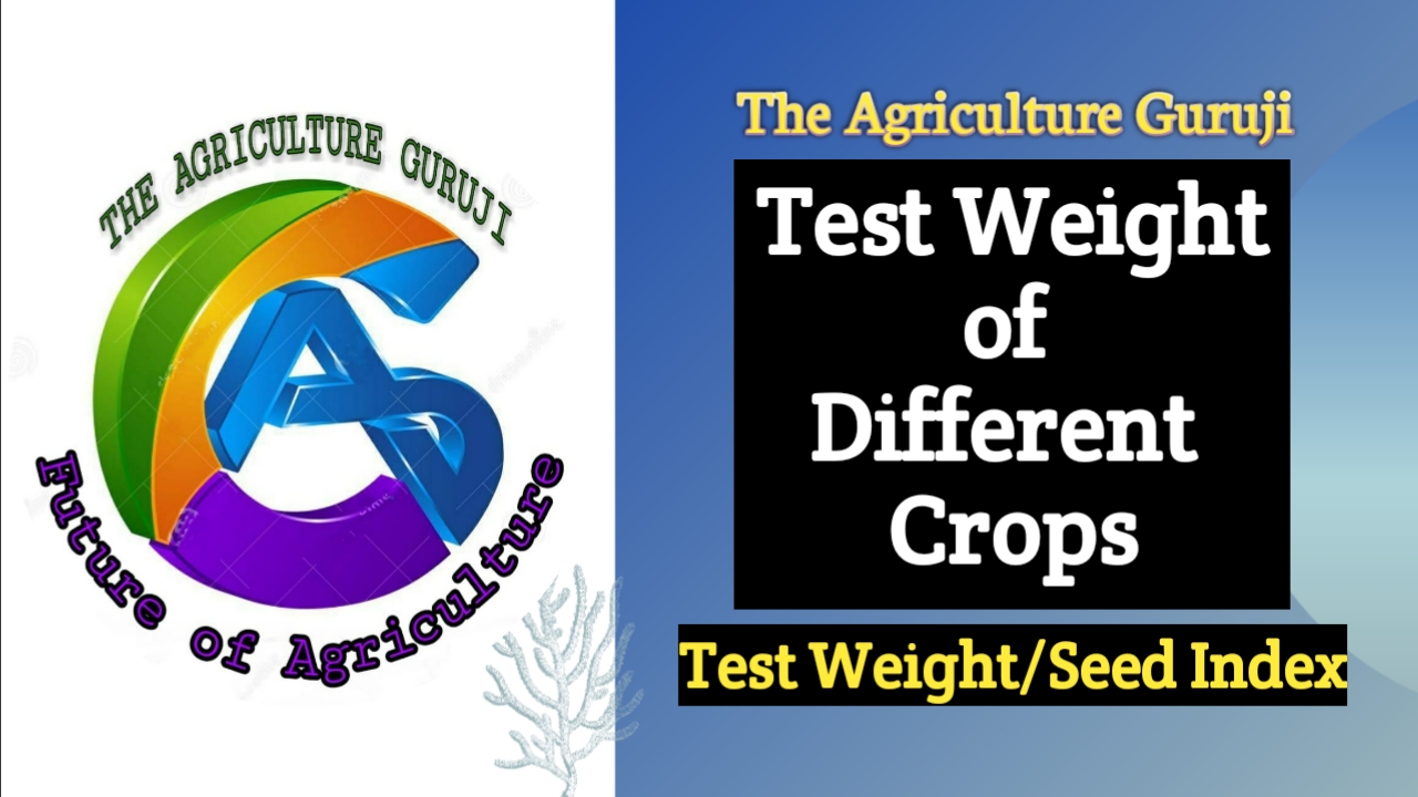 Test Weight of Different Crops | Test Weight/Seed Index 2024