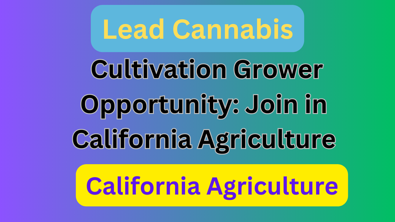 Lead Cannabis Cultivation Grower Opportunity: Join in California Agriculture 2024